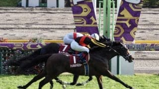 【毎日王冠】3歳シュネルマイスターが勝利！レースはG1ファンファーレで行われる