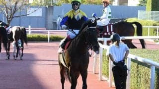 【勝負の分かれ目 京都大賞典】藤岡康太騎手の完璧な騎乗でダービー馬マカヒキが復活