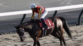 【毎日王冠】ルメール「今日はプレッシャーをかけなかった」3歳シュネルマイスターが豪快な差し切り