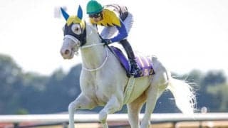 JRAはGI秋華賞、地方はJpnIマイルCS南部杯/今週の競馬界の見どころ