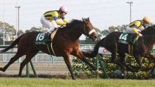 【府中牝馬S登録馬】マジックキャッスルなど21頭