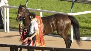 【毎日王冠】売上は66億5376万9600円で昨年からおよそ6.6億円の増加