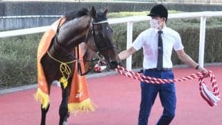 【京都大賞典】売上は54億4721万5900円で昨年からおよそ7.8億円の減少