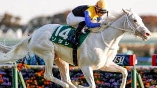 【秋華賞見どころ】白毛のソダシ、樫の雪辱を果たして二冠達成なるか