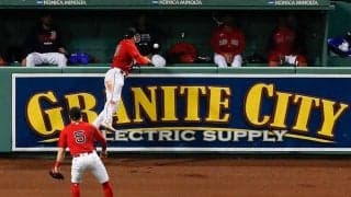 【MLB】得点帳消しでレイズファン怒り　PS死闘で“不運な二塁打”が注目「ばかげた判定だ」