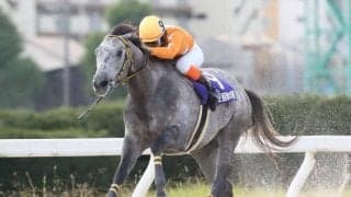 【名古屋・秋の鞍結果】地元のトミケンシャイリが逃げ切って完勝