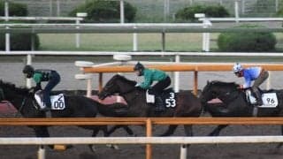 ミッキーロケット半弟グルアガッハが幸英明騎手でデビュー/関西馬メイクデビュー情報