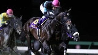 【盛岡・マイルCS南部杯結果】アルクトスが貫録の押し切りで史上7頭目の連覇達成！