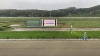 【南部杯】アルクトスが連覇達成