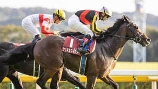 父は名マイラー・キングマン　種牡馬となった際も魅力十分なシュネルマイスター