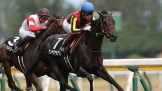 【秋華賞予想】AI予想はソダシではない上位馬指名！ ちょい波乱の秋華賞の主演牝馬は誰になる？