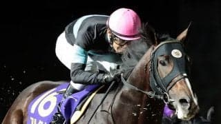 【南部杯】田辺「プレッシャーはありました」アルクトスが連覇