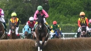 【東京ハイジャンプ想定騎手】アサクサゲンキは熊沢重文騎手、オジュウチョウサンは石神深一騎手