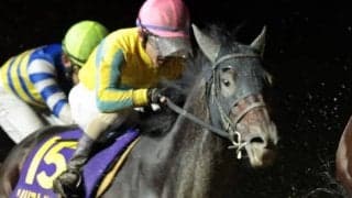 【南部杯】戸崎「調子は取り戻している」レース後ジョッキーコメント