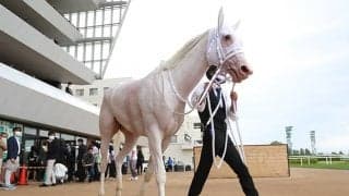 【秋華賞注目馬】秋もヒロインの座は渡さない！ 白毛のアイドルが牝馬2冠へ