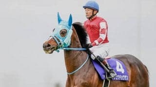 【東京ハイジャンプ 注目馬】オジュウチョウサン始動　障害の絶対王者、いざ復権へ
