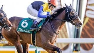 【秋華賞 注目馬】アカイトリノムスメ虎視眈々　最後の1冠で母子制覇狙う