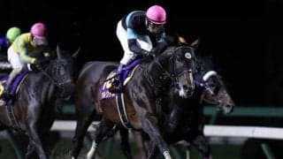 【マイルCS南部杯回顧】馬場枠順絶好の展開でアルクトスが連覇/斎藤修