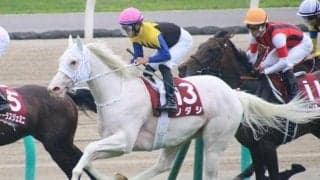 【秋華賞予想オッズ】ソダシが予想1番人気、アンドヴァラナウトが続く