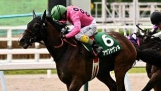 【東京ハイジャンプ予想オッズ】アサクサゲンキが予想1番人気、半年ぶりのオジュウチョウサンが続く