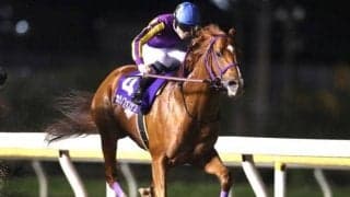 第4回地方競馬ファン投票　カジノフォンテンが暫定1位に