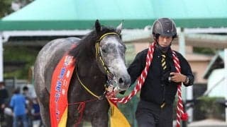 地元馬トミケンシャイリが価値ある1勝を挙げ“名古屋三冠”達成！