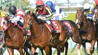 【次走】毎日王冠9着のケイデンスコールはマイルチャンピオンシップへ