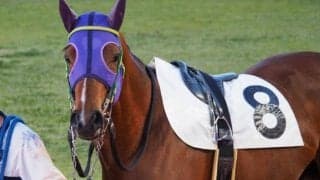 【門別競馬情報】安定感抜群モンスタープリンスら先行勢が上位人気を占めそうな組合せ。前半のペースが上がり過ぎれば伏兵の差し馬台頭も「北斗紅葉回廊特別」/地方競馬情報