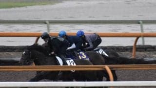 ディヴァインラヴ、菊花賞1週前追い切り速報/栗東トレセンニュース