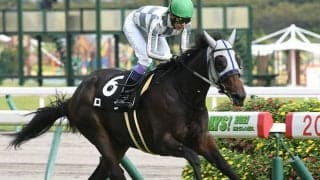 野路菊Sを制したロンは放牧　次走は阪神ジュベナイルフィリーズを予定