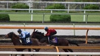 ダノンザキッド、富士S1週前追い切り速報/栗東トレセンニュース