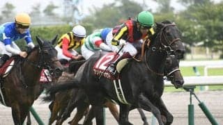 【AI予想】ソダシが人気を集めそうな秋華賞で“連軸として狙う分には妙味ある1頭”を検証