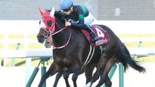 ラヴズオンリーユー、米G1・ブリーダーズC制覇の偉業なるか　壁はウォーライクゴッデスかタルナワ/合田直弘