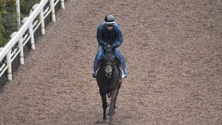 【秋華賞「見逃せない調教師」ベスト3】関西の芝中長距離路線はお任せ！ 秋華賞で見逃せないのはこの調教師だ