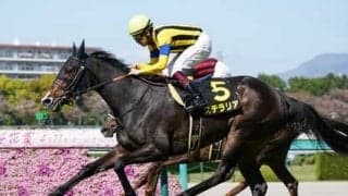 今年の秋華賞は「忘れな草賞」の成績に注目。血統も十分な２頭に激走の気配