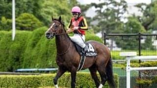 【次走】タイムフライヤーはスワンSを予定　15戦ぶりに再び芝路線へ