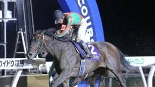 【門別競馬情報】地元ホッカイドウ勢「5連覇」なるか！実績No.1レディーアーサーら「強い門別2歳牝馬」に、前走ダートで一変JRAヒストリックノヴァら4頭が挑む「第24回エーデルワイス賞JpnIII」 /地方競馬情報