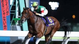 【JRA】クリソベリルが13日付で競走馬登録を抹消、GI級競走を4勝