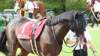 【次走】ダンビュライト、みやこSでダート初挑戦へ