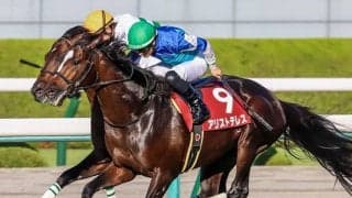 【次走】京都大賞典2着のアリストテレスはジャパンCを目標