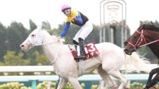 【秋華賞出走馬・騎手確定】ソダシ＆吉田隼人騎手、ファインルージュ＆ルメール騎手など16頭