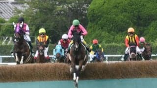 【東京ハイジャンプ出走馬・騎手確定】アサクサゲンキ＆熊沢重文騎手、オジュウチョウサン＆石神深一騎手など12頭