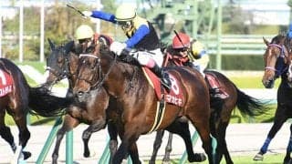 マカヒキが新記録樹立/島田明宏