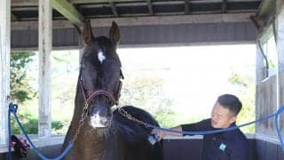 種牡馬の道が叶わずとも「絶対に処分などせずに余生をここで」　ディープインパクト全弟・オンファイアの再出発