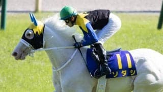 【秋華賞】出走馬の調教後の馬体重