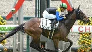 穴党記者が秋華賞での激走を見抜いた伏兵。地力を秘めた２頭が春の実績馬を脅かす