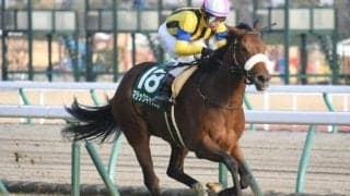 【府中牝馬S枠順確定】マジックキャッスルは7枠13番、デゼルは8枠17番