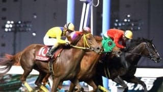 【川崎・サルビアカップ結果】山崎誠士騎手騎乗の米国産馬カルフレグランスが勝利