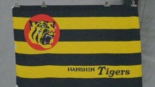 阪神が育成の奥山皓太に戦力外を通告　プロ2年間で1軍出場なしの24歳