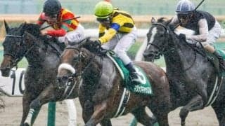 【府中牝馬S予想】やはり「格」は重視したい別定重量のGII戦